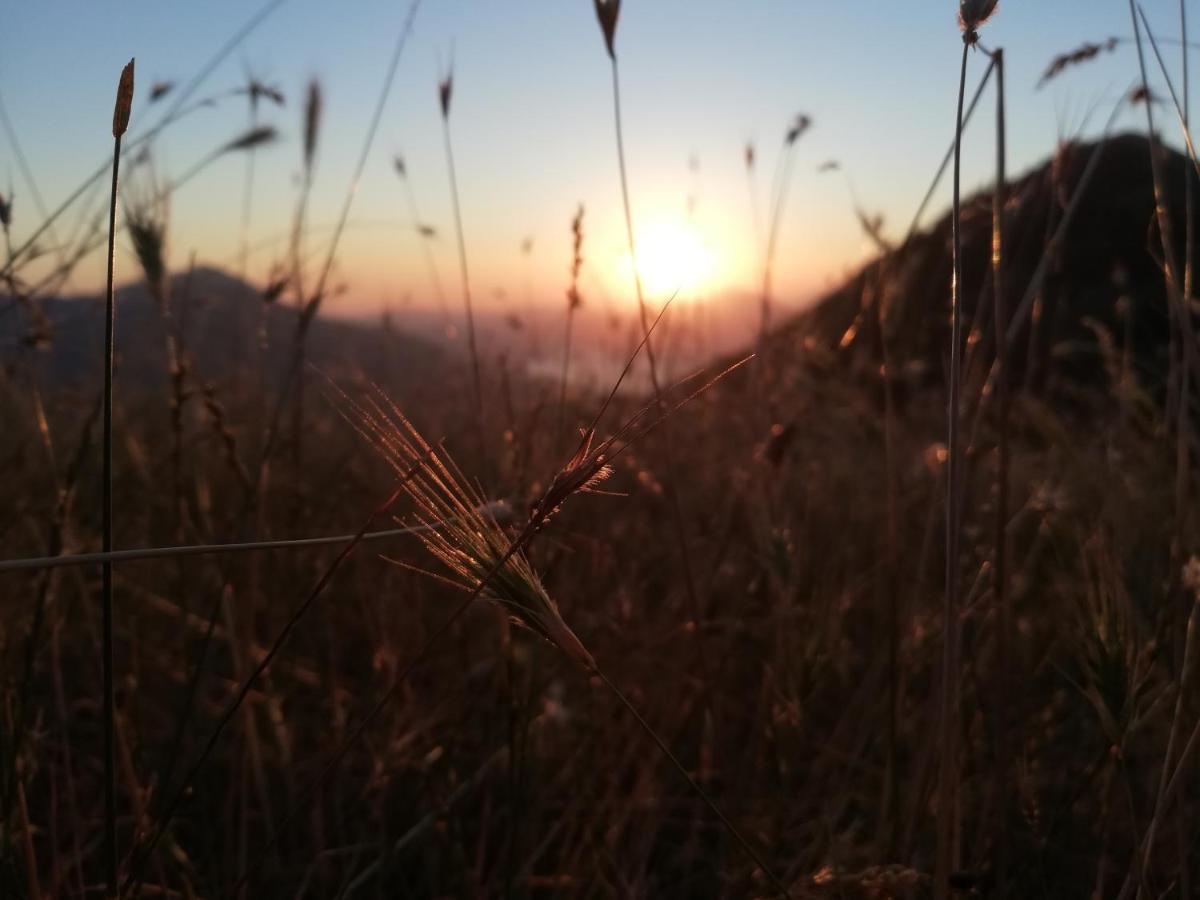 Valentini Guesthouse Karpenísion Dış mekan fotoğraf