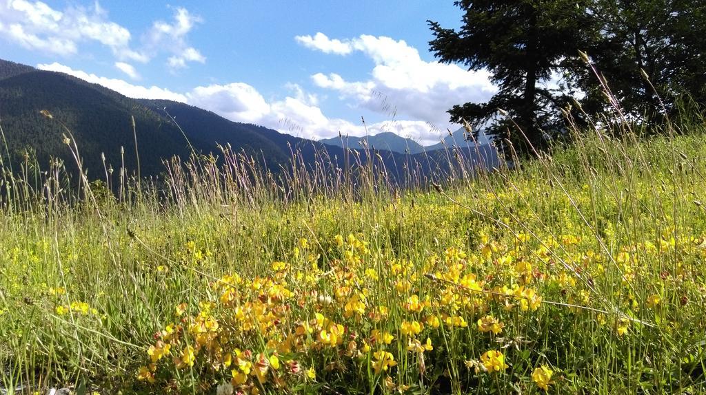 Valentini Guesthouse Karpenísion Dış mekan fotoğraf