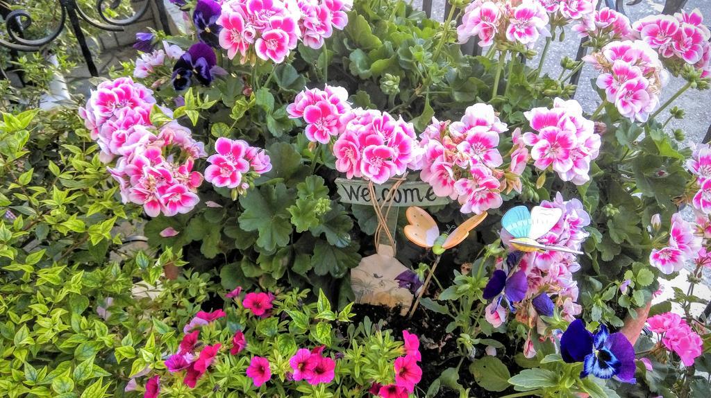 Valentini Guesthouse Karpenísion Dış mekan fotoğraf
