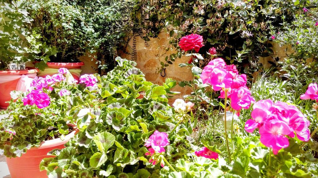 Valentini Guesthouse Karpenísion Dış mekan fotoğraf