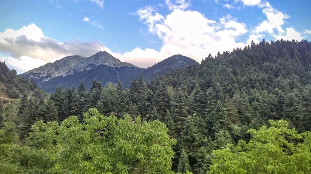 Valentini Guesthouse Karpenísion Dış mekan fotoğraf